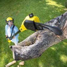 Best Stump Grinding and Removal  in Gretna, NE